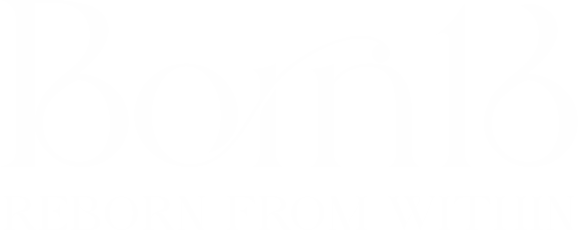 Brand Logo 2